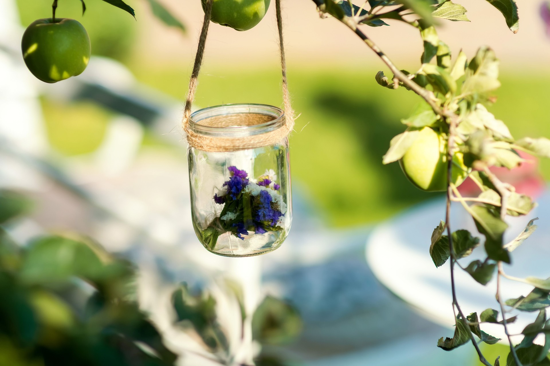 Jar With Flowers Hanging From Apple Tree Branch