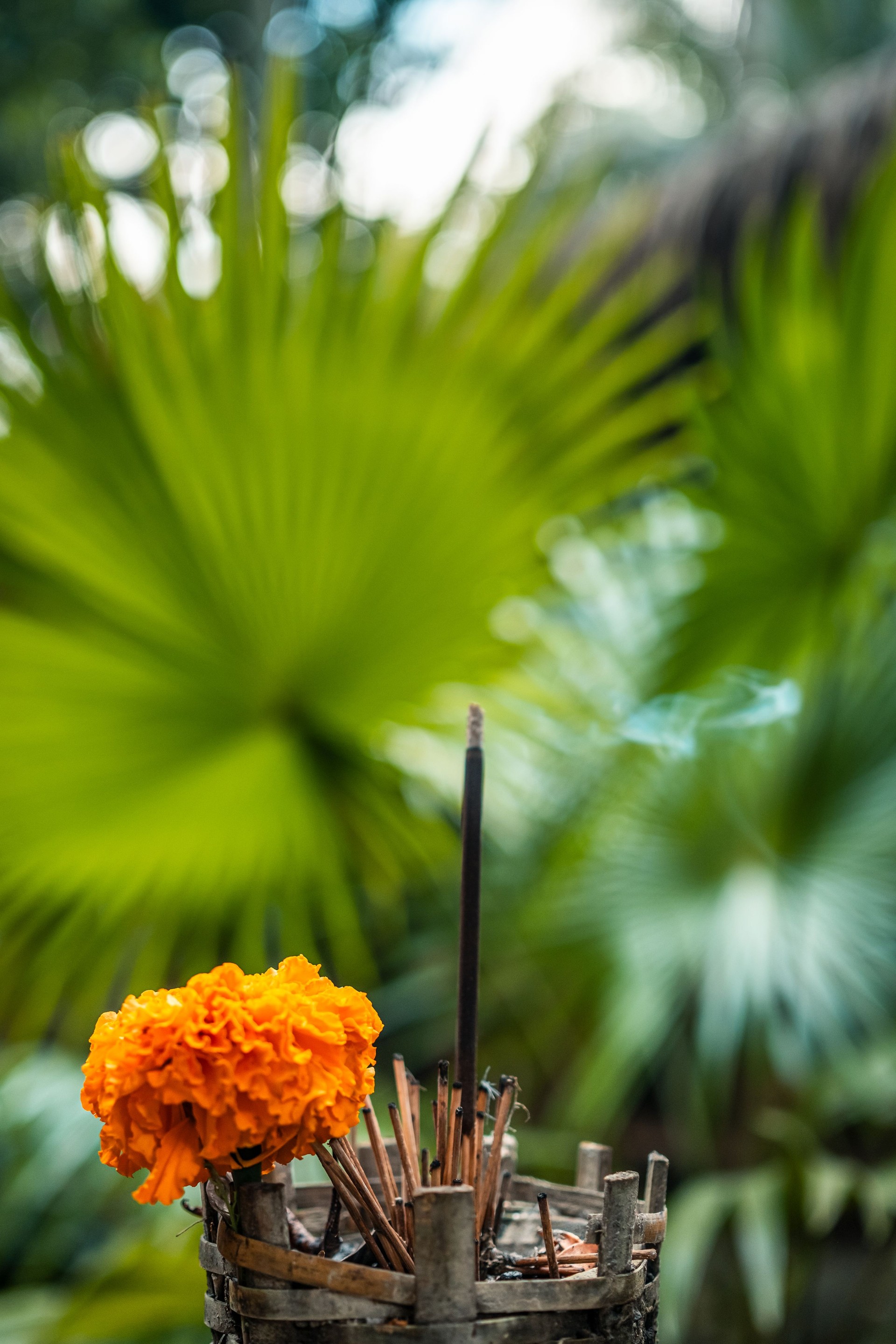 Incense offering with marigolds